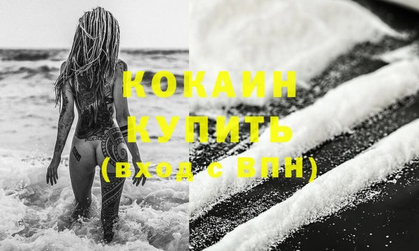 индика Абинск